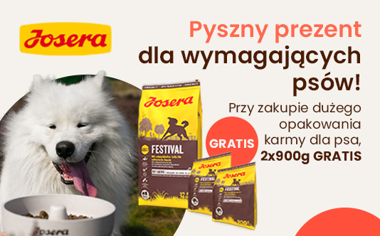 Pyszny prezent dla wymagających psów!