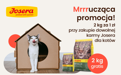 Mrrrucząca promocja!