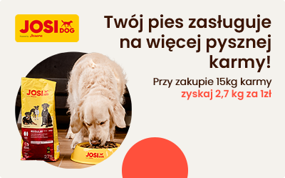 2,7kg karmy dla psa za 1 zł