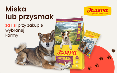 Miska czy przysmak? Wybierz sam!