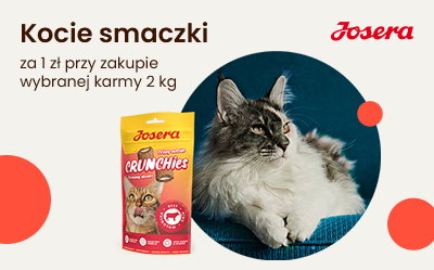Kup karmę, odbierz przysmak