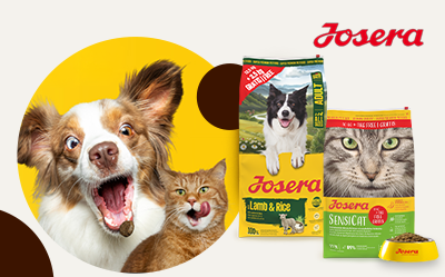 Pełna miska pupila na dłużej