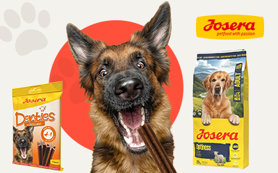 Zgarnij Josera Denties za 1 zł!