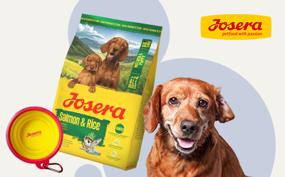 Zgarnij miskę podróżną Josera za 1 zł