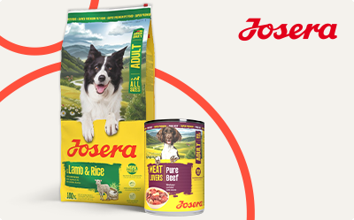 Kup suchą karmę Josera i skorzystaj okazji!